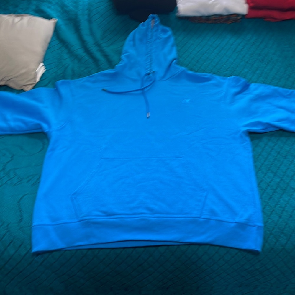 Champion hoodie